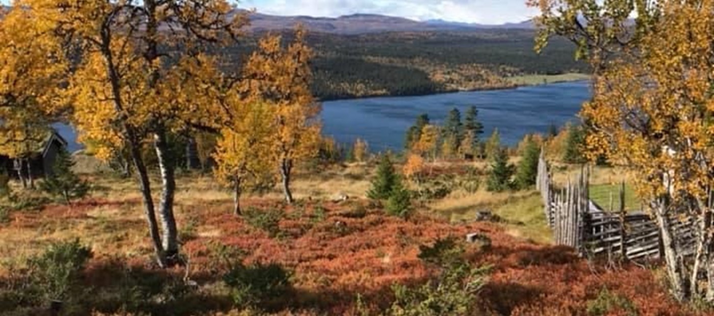Høstens tilbud fra Aktuarforeningen
