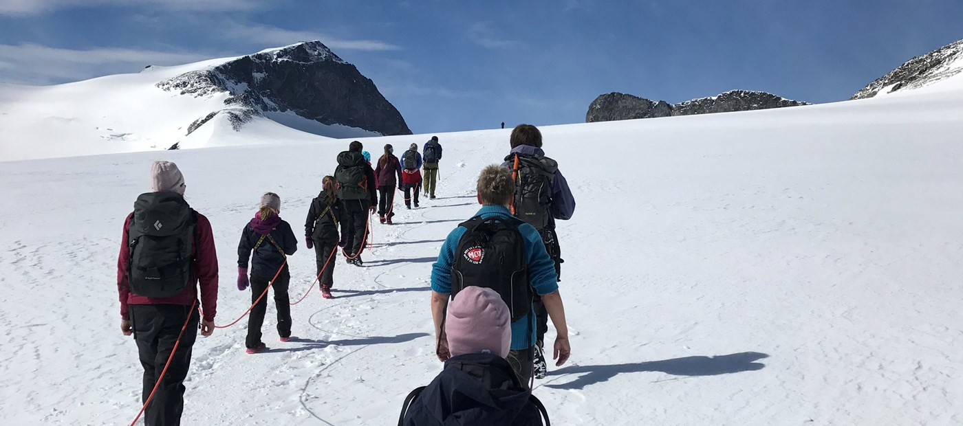 Aktuarenes rolle i forsikringsforetak og pensjonskasser